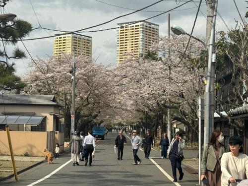 The Stay Ueno Park