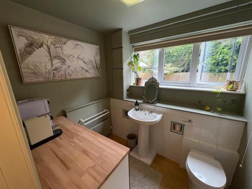a bathroom with a sink and a toilet and a window at The Warwick Room in Warwick