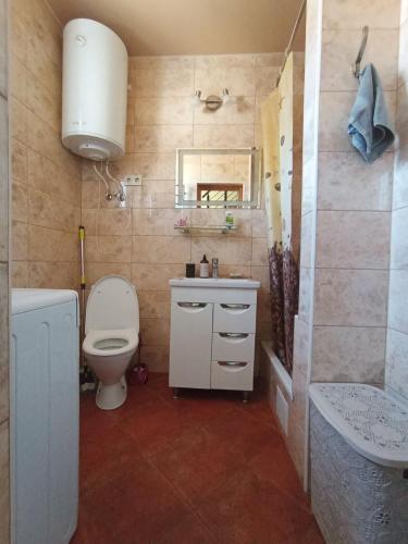 a bathroom with a toilet and a sink and a shower at Будинок у моря in Odesa