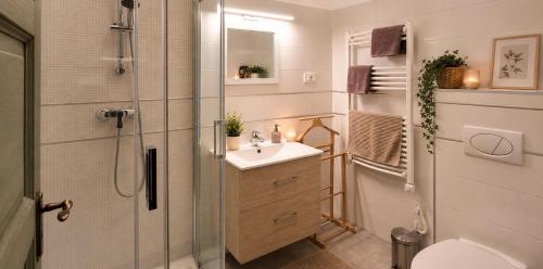 a bathroom with a shower and a sink and a toilet at M37 Apartman in Debrecen