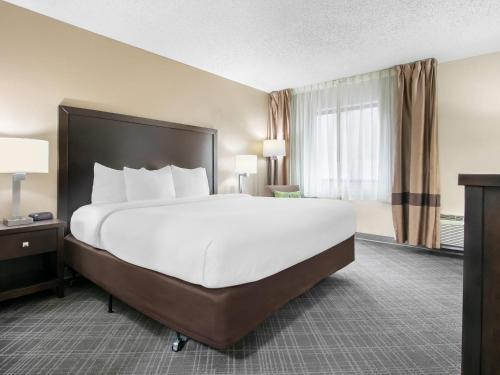 a large white bed in a hotel room at Comfort Inn Detroit Downtown in Detroit