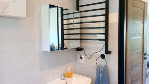 a bathroom with a sink and a mirror at Domek letniskowy Płaska in Płaska