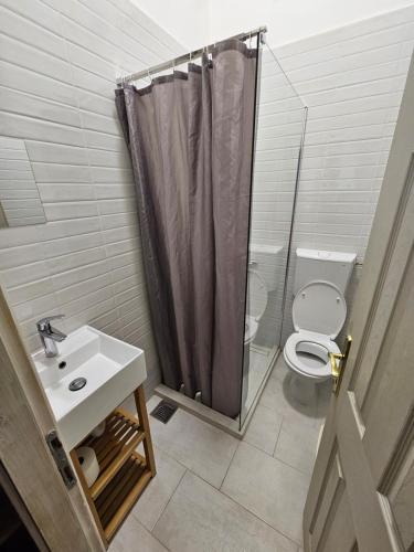 a bathroom with a toilet and a sink and a shower at Cricket 2 Hostel in Belgrade
