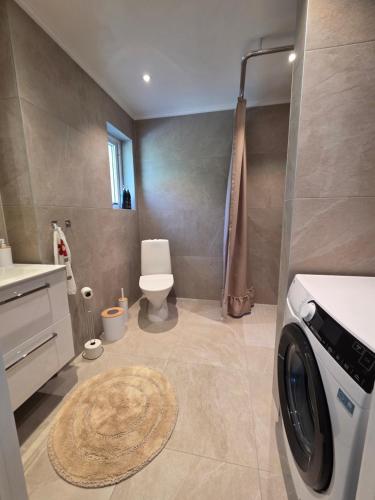 a bathroom with a toilet and a sink and a rug at Gammeleken in Stidsvig