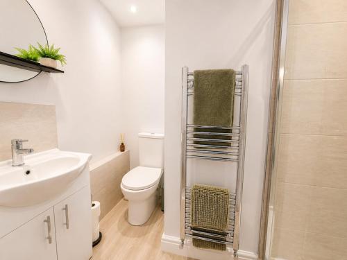 a bathroom with a toilet and a sink and a shower at Appletree Cottage in Wells