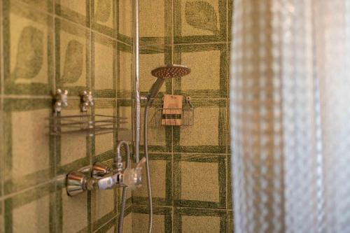 a shower with a shower head in a bathroom at Ciasa Cianins in San Vigilio Di Marebbe