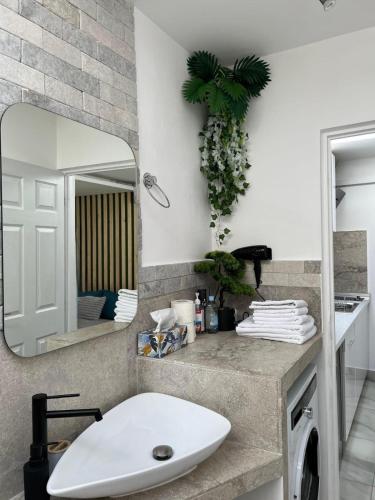 a bathroom with a white sink and a mirror at Luxus Cluj Airport Apartments in Cluj-Napoca