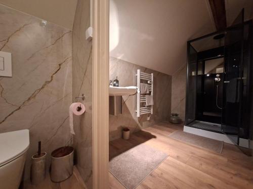 a bathroom with a shower and a sink and a toilet at "C'est Si Bon" in Vandenesse
