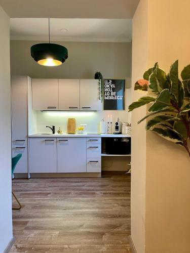 Villa Frank No2 - APARTMENT KLAGENFURT - Free Parking, Air Conditioning, Smart-TV & Self Check-in