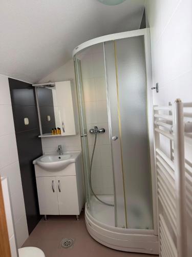 a bathroom with a shower and a sink at Vila Noor Sarajevo in Sarajevo