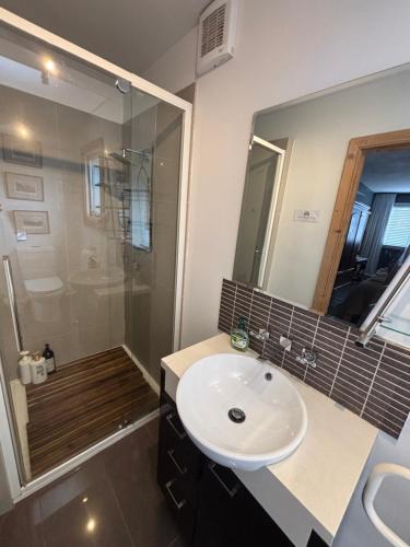 a bathroom with a sink and a shower at Robinson Cottage in Oatlands