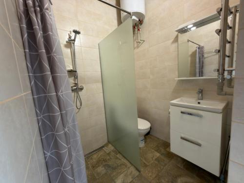 a bathroom with a toilet and a sink and a shower at Міні-готель На Росі in Steblëv