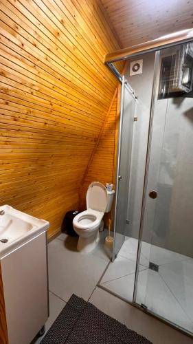 a bathroom with a toilet and a glass shower at Kolsai Satu in Saty