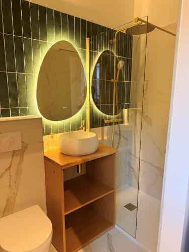 a bathroom with a sink and a shower at Rose Joséphine in Ajaccio