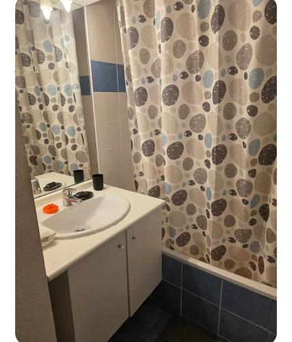 a bathroom with a sink and a shower curtain at Pierre de lumiere in Toulouse