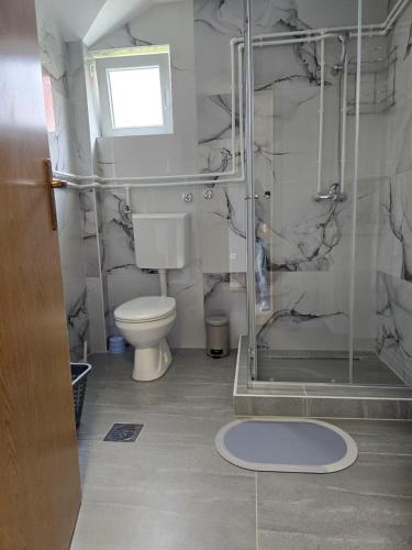 a bathroom with a shower and a toilet at Mountain House 22 in Žabljak
