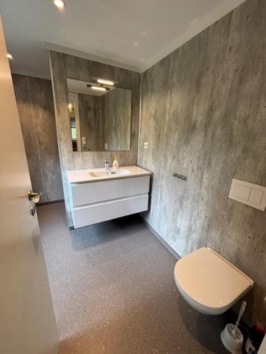 a bathroom with a sink and a toilet at Detached cozy house in Lom