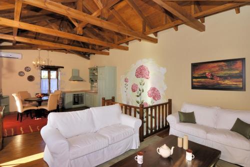 Χώρος καθιστικού στο Villa Ortansia Milies Pilion