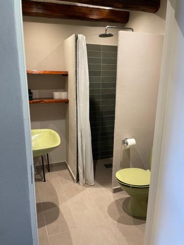 a bathroom with a shower and a toilet and a sink at Gæstehuset in Tarm