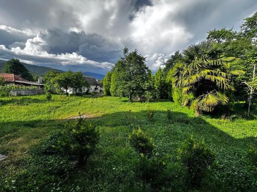 a large grassy field with a palm tree in the distance at House in Katex