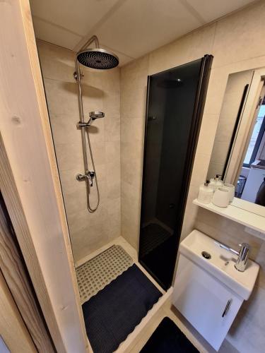 ein kleines Badezimmer mit Dusche und Waschbecken in der Unterkunft Greyhouse in Palanga