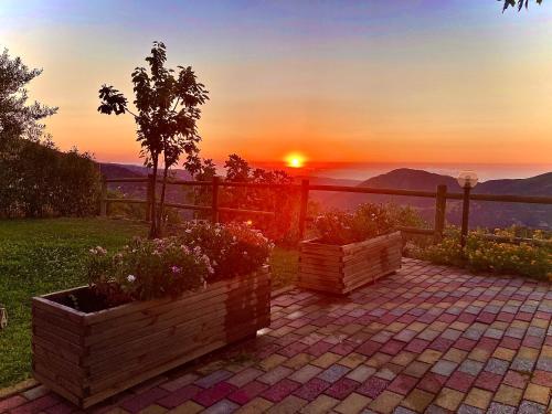 a sunset with twopots of flowers on a patio at TacchiHousePanorama in Jerzu