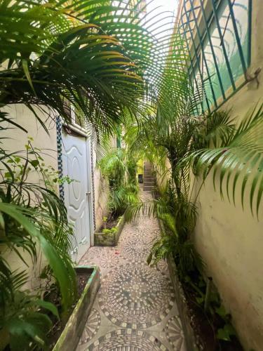 a hallway with plants in a building with a door at La española in Santo Domingo