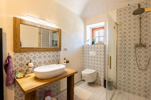 a bathroom with a sink and a toilet and a shower at WELLNESS FARMHOUSE Monínec in Měšetice