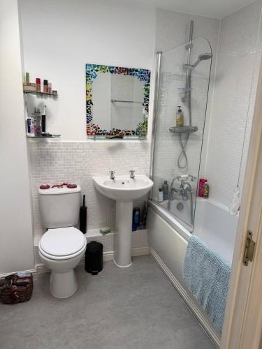 a bathroom with a toilet and a sink and a shower at Super comfy, convenient two bedroom apartment in Corsham