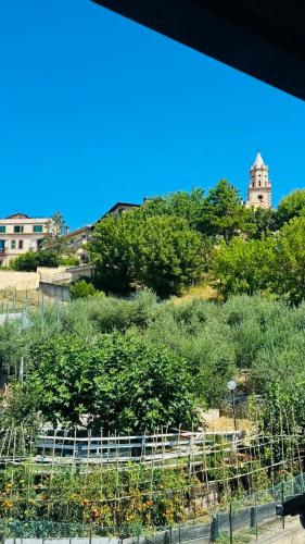 a view of a garden with trees and buildings at Linoq in Montepagano