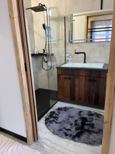 a bathroom with a shower and a sink and a mirror at Csiszta Thermal Villa in Buzsák