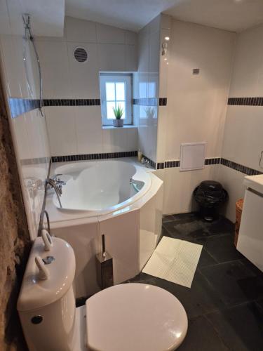 a bathroom with a tub and a toilet and a sink at Roubenka Krkonoše - Adršpach in Radvanice