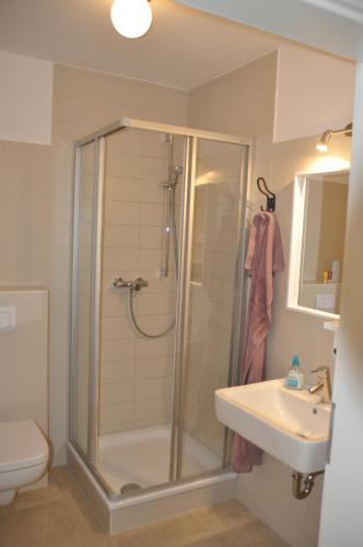 a bathroom with a shower and a sink at Ferienhaus Wiekhus in Breege