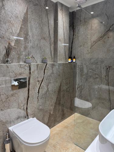 a bathroom with a toilet and a shower at Ancient Philippi Luxury Apt MKP in Krinídhes