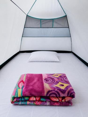 a bed in a tent with a purple blanket at Zion Campsite in Ziro