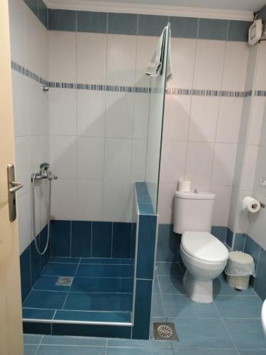 a blue and white bathroom with a toilet and a shower at Maistrali in Vasiliki