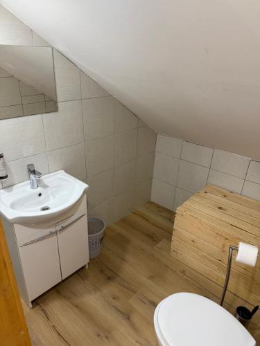 a bathroom with a sink and a toilet at Martinova izba - Family Bungalows in Laško