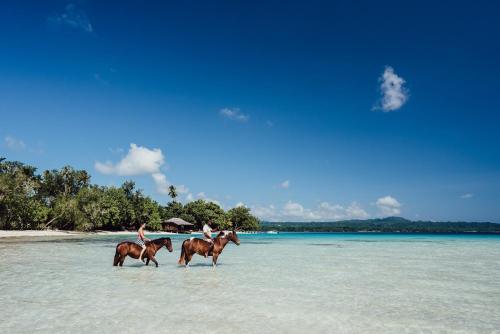 two people riding horses on a beach in the water at Ratua Private Island Resort in Aimbuei Bay