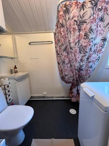 a bathroom with a toilet and a shower curtain at Ugglan' in Undenäs