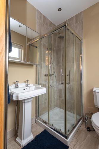 a bathroom with a shower and a sink at Copperbeech Farm Guest House in Moira