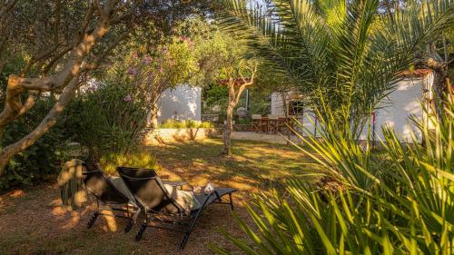 a garden with two chairs in the shade of trees at Casa Tramonto I Peaceful Family House with garden, Veli Lošinj in Veli Lošinj