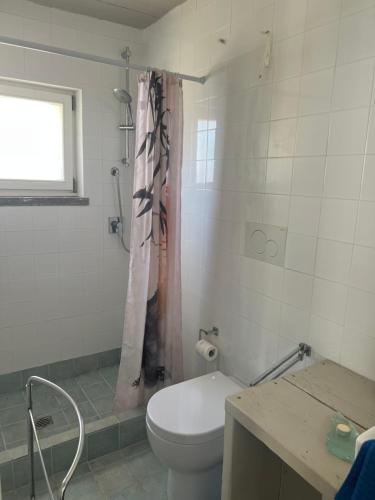 a bathroom with a toilet and a shower curtain at Il Respiro degli Ulivi in Viterbo