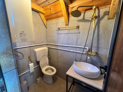 a small bathroom with a toilet and a sink at Etno House Dragas in Njegovuđa
