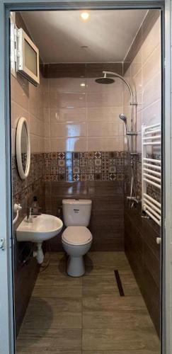 a bathroom with a toilet and a sink at blue house in Carthage