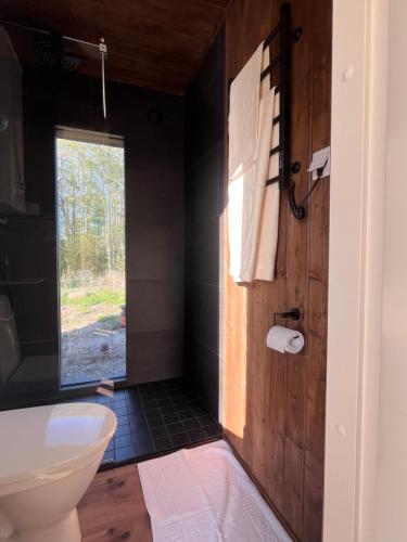 a bathroom with a toilet and a window at Mesipesa Holiday Houses in Narva-Jõesuu