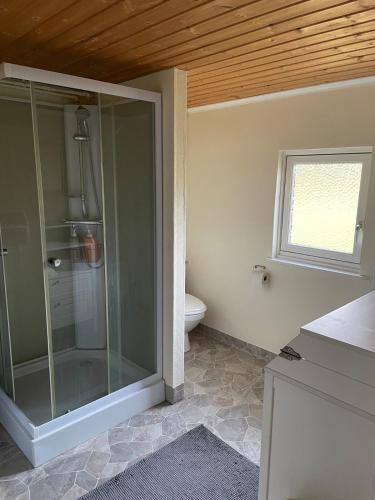 a bathroom with a glass shower and a toilet at Rosebo in Tranås