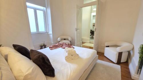 A Proa do Moliceiro HISTORIA Premium - CITY Center