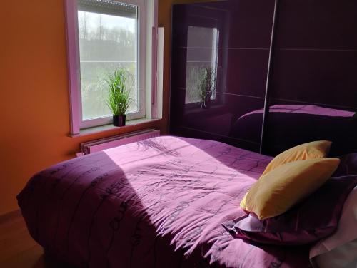 a bedroom with a bed with purple sheets and a window at Maison Belle Vue Ronse in Ronse