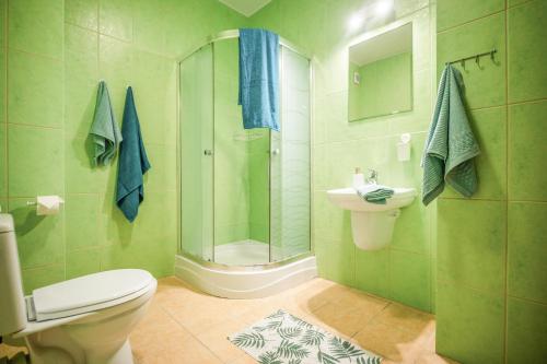 a bathroom with a shower and a toilet and a sink at Las i Morze - Dźwirzyno in Dźwirzyno
