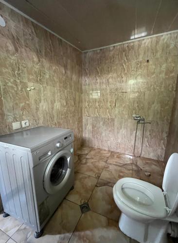 a bathroom with a washing machine and a toilet at Maia's Guest House Gergeti in Kazbegi